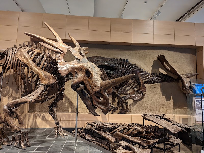 Canadian Museum of Nature