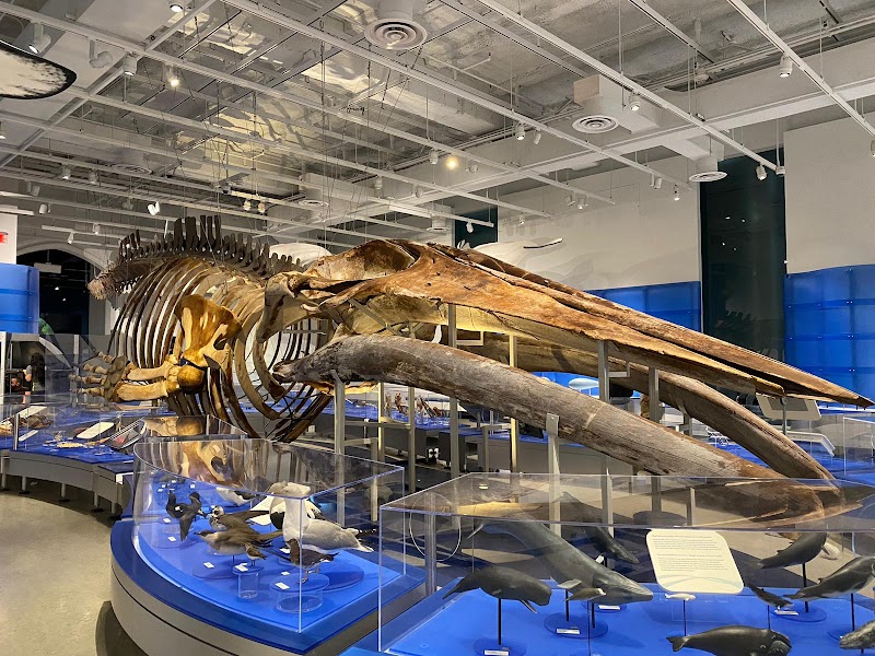 Canadian Museum of Nature / Musée canadien de la nature