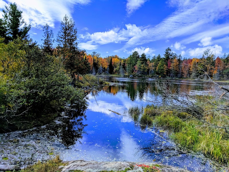 South March Highlands Conservation Forest